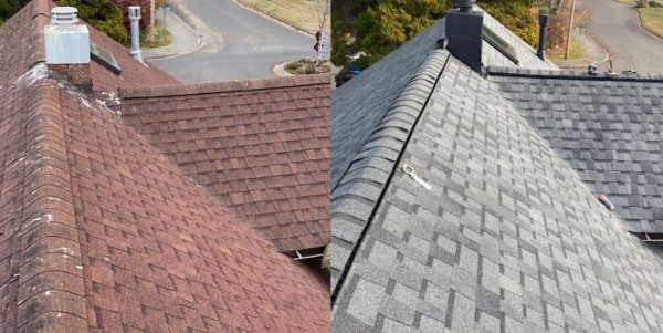 Roofing Services in Ottawa, ON (1)